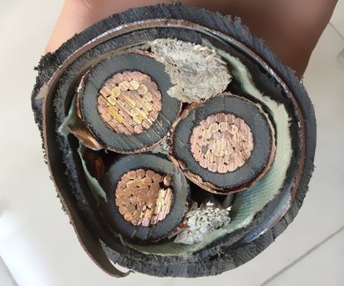  我國電纜工業(yè)已構(gòu)成類別較完全、規(guī)劃較大